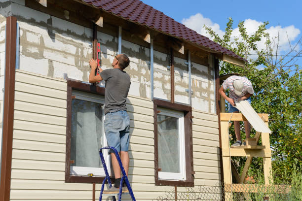Best Fascia and Soffit Installation  in Mitchell, SD