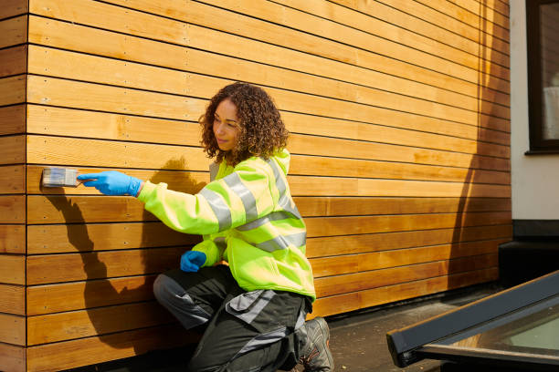 Best Stone Veneer Siding  in Mitchell, SD